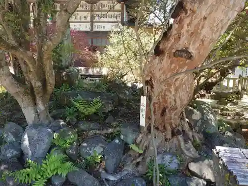 長泉院のその他建物