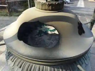 妙蓮寺のその他建物