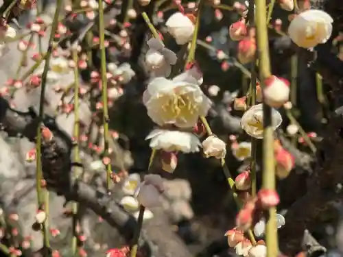 結城神社(三重県)
