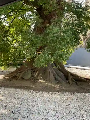 上野東照宮(東京都)