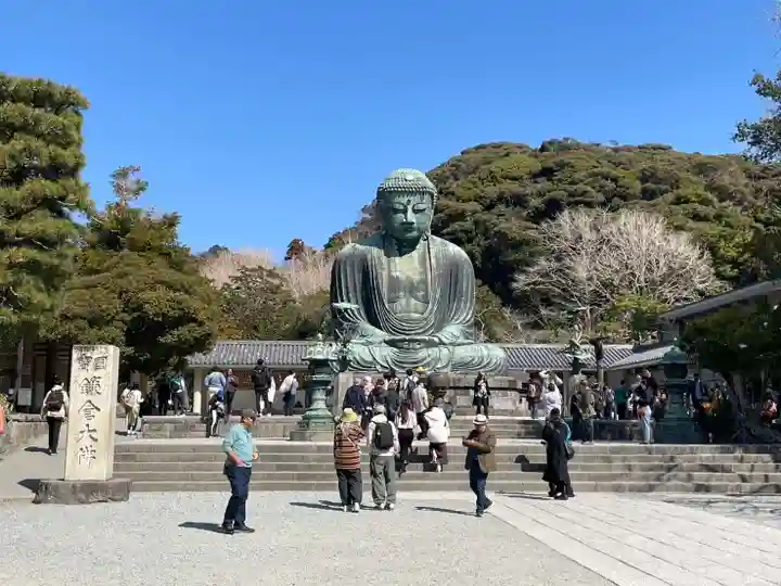 高徳院(神奈川県)