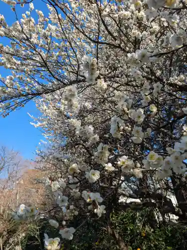 玉眞院玉川大師(東京都)