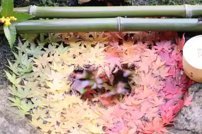 柳谷観音　楊谷寺(京都府)