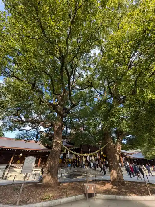 明治神宮(東京都)
