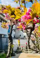 福王山 慈眼寺の自然