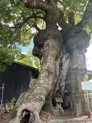 観音寺(愛知県)