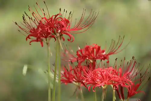 国宝 大法寺(長野県)