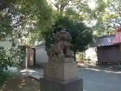 大熊杉山神社の狛犬