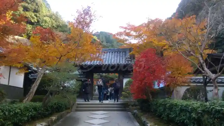 南禅寺の山門・神門