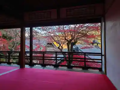 柳谷観音　楊谷寺のその他建物