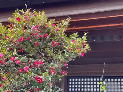 清水寺(京都府)