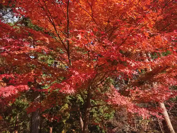 塩船観音寺の庭園