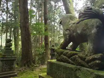 出雲神社の狛犬