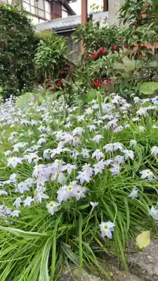 祐正寺(京都府)