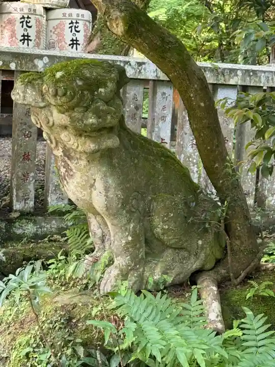 五所駒瀧神社(茨城県)