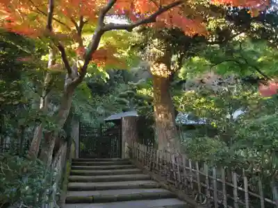 正伝庵(円覚寺塔頭)(神奈川県)