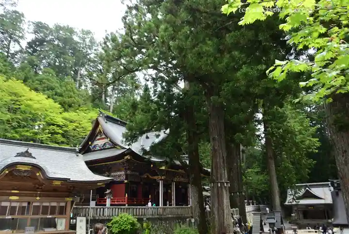 三峯神社(埼玉県)