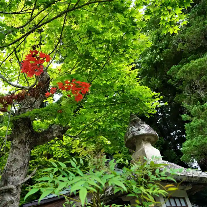 鹿島大神宮の自然