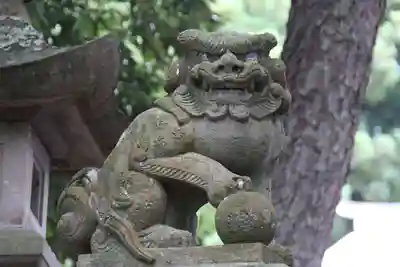 和田神社の狛犬