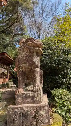 宇治上神社の狛犬