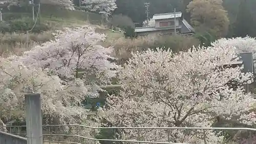 地蔵院 (室生寺塔頭)の自然