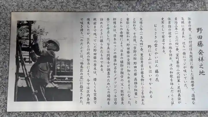 藤之宮 春日神社(野田の藤跡)(大阪府)