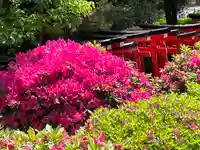 乙女稲荷神社(東京都)