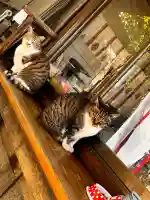 阿邪訶根神社の{uncategorized: "未分類", other: "その他", undefined: "問題あり", building: "その他建物", grave: "お墓", sacred_gate: "鳥居", guardian: "狛犬", statue: "像", buddha: "仏像", history: "歴史", nature: "自然", garden: "庭園", animal: "動物", pagoda: "塔", temizu: "手水舎", mountain_gate: "山門・神門", sanctuary: "本殿・本堂", subordinate: "末社・摂社", art: "芸術", scenery: "景色", jizo: "地蔵", ema: "絵馬", goshuin: "御朱印", omikuji: "おみくじ", items: "授与品その他", amulet: "お守り", goshuincho: "御朱印帳", eats: "食事", festival: "お祭り", votive_dance: "神楽", shichigosan: "七五三参", wedding: "結婚式", experience: "体験その他", initially: "初詣", around: "周辺", anti_infection: "感染症対策"}