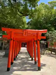 住吉神社(福岡県)