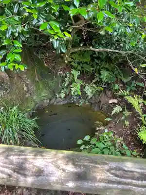 平泉寺白山神社(福井県)