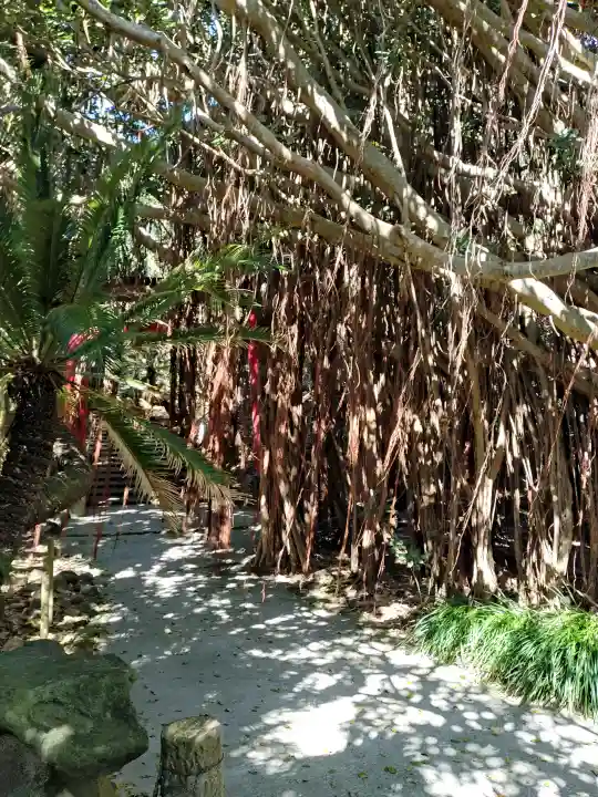 御崎神社の{uncategorized: "未分類", other: "その他", undefined: "問題あり", building: "その他建物", grave: "お墓", sacred_gate: "鳥居", guardian: "狛犬", statue: "像", buddha: "仏像", history: "歴史", nature: "自然", garden: "庭園", animal: "動物", pagoda: "塔", temizu: "手水舎", mountain_gate: "山門・神門", sanctuary: "本殿・本堂", subordinate: "末社・摂社", art: "芸術", scenery: "景色", jizo: "地蔵", ema: "絵馬", goshuin: "御朱印", omikuji: "おみくじ", items: "授与品その他", amulet: "お守り", goshuincho: "御朱印帳", eats: "食事", festival: "お祭り", votive_dance: "神楽", shichigosan: "七五三参", wedding: "結婚式", experience: "体験その他", initially: "初詣", around: "周辺", anti_infection: "感染症対策"}