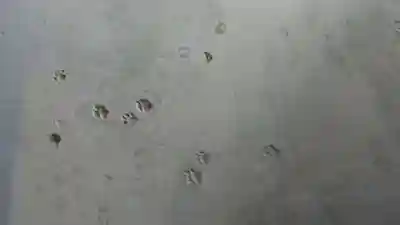 長楽寺のその他建物