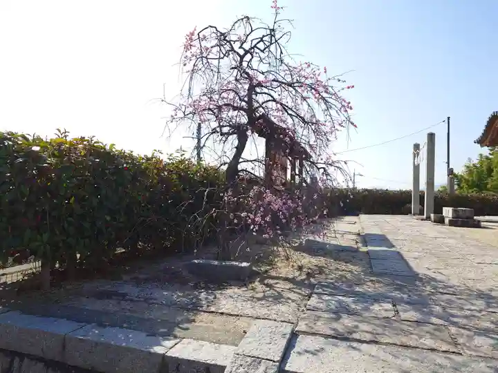 岩国白蛇神社の自然