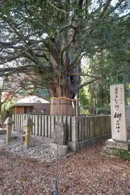 熊野速玉大社(和歌山県)