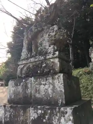 赤猪岩神社の狛犬