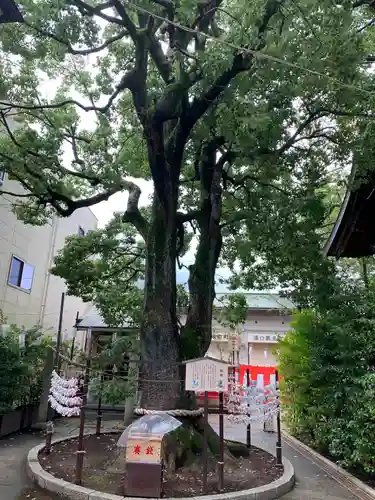 溝口神社のその他建物