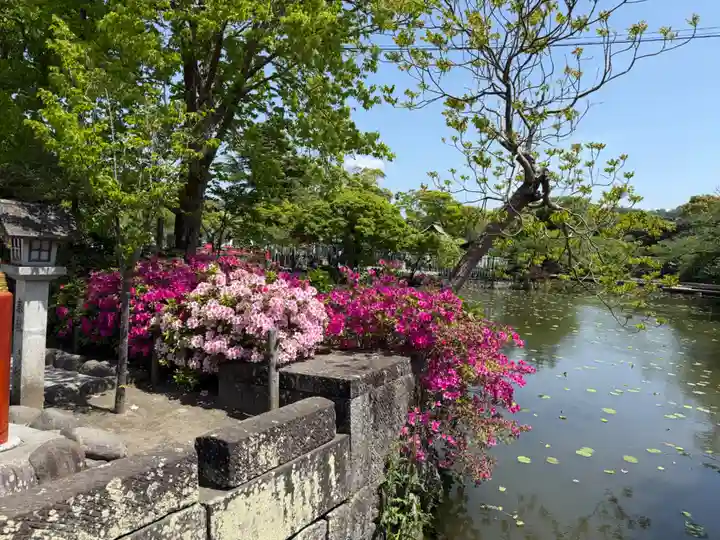 鶴岡八幡宮の庭園