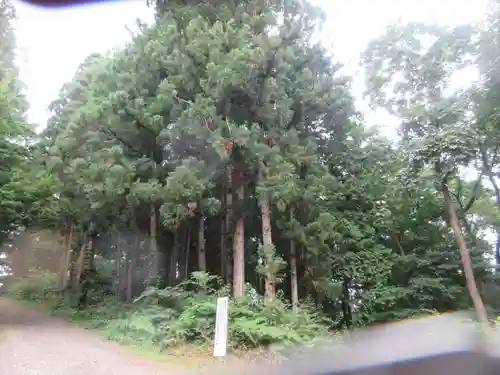 胡四王神社(岩手県)