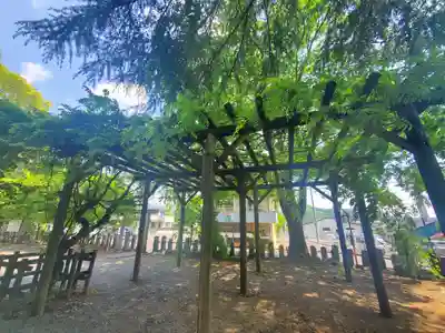 桐生天満宮(群馬県)