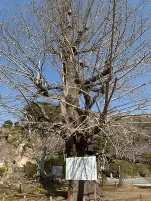 蓮福寺(千葉県)