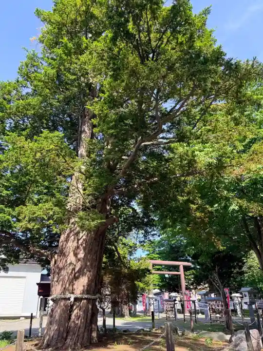 豊栄神社(北海道)