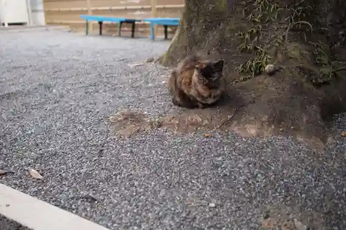 金乗院放光寺の動物