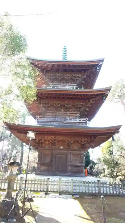 豪徳寺のその他建物