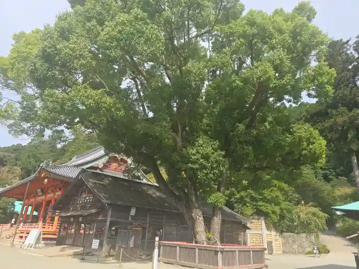 勝尾寺(大阪府)