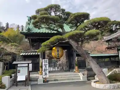 長谷寺の山門・神門