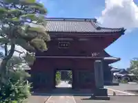 徳願寺の山門・神門