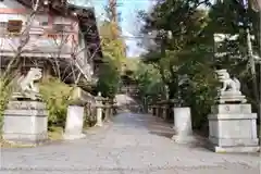 宇治神社の狛犬