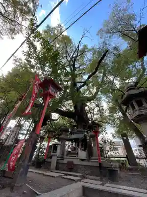 若一神社(京都府)