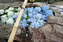 阿智神社の手水