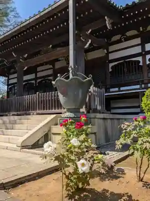 愛染院(東京都)